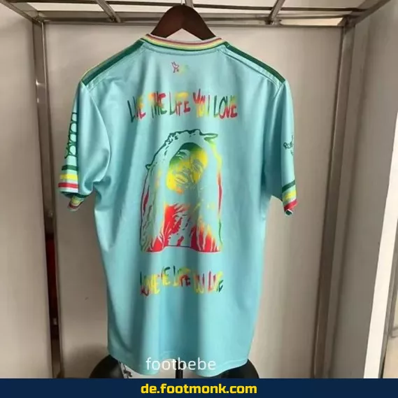 Ajax Trikot 2025/2026 Hellblaue Sonderedition – Fußballtrikot Herren/Damen/Kinder | Günstig online kaufen