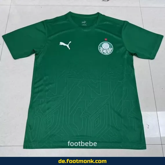 Palmeiras Trikot 2025/2026 – Grünes Konzept-Trikot | Herren, Damen & Kinder | Authentisch & Günstig